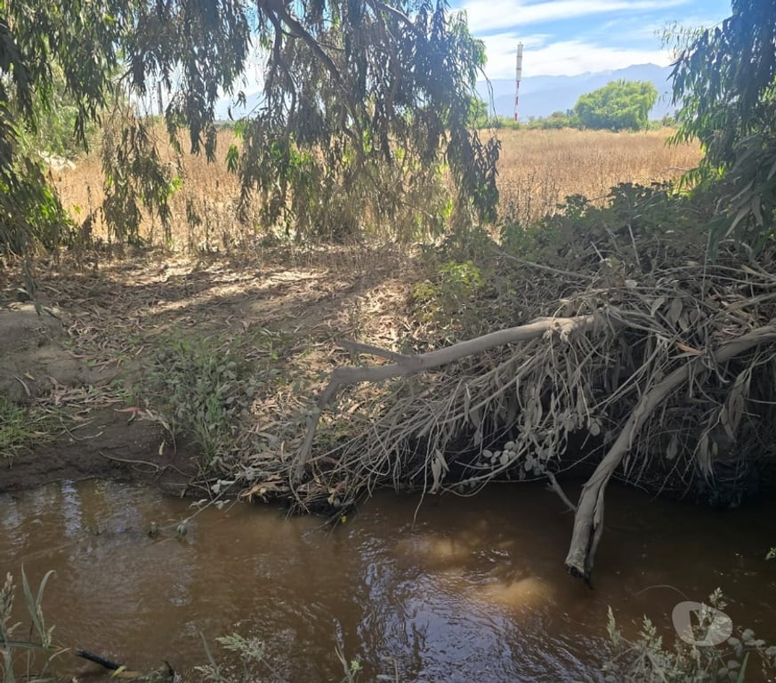 Parcelas en Venta Cachapoal Machal - Fotos de Parcela en San Joaquin De Los Mayos