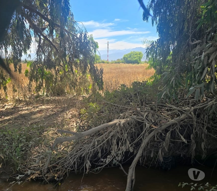Parcelas en Venta Cachapoal Machal - Fotos de Parcela en San Joaquin De Los Mayos