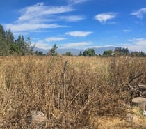 Fotos de Parcela en San Joaquin De Los Mayos