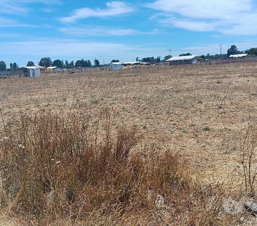 Parcelas en Venta Ñuble Bulnes - Fotos de Parcela Agricola