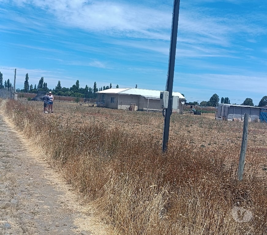 Parcelas en Venta Ñuble Bulnes - Fotos de Parcela Agricola