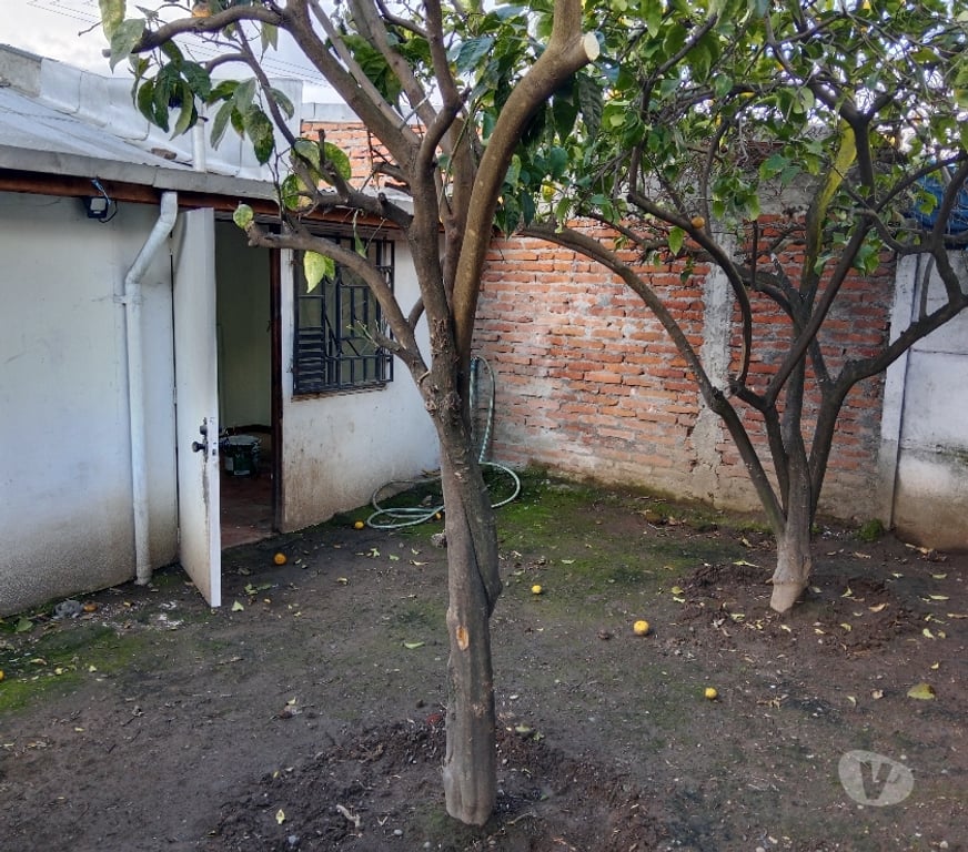 Arriendos Talca Talca - Fotos de ARRIENDO CASA 9 NORTE 13 Y 14 ORIENTE VILLA LOS CONQUISTADOR