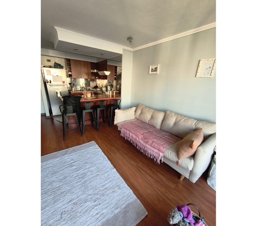 Bienes Raices Santiago Ñuñoa - Fotos de Departamento1d 1b