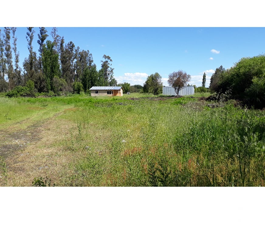 Parcelas en Venta Bío-Bío Los Ángeles - Fotos de ARRIENDO PARCELA 9 HÁS CON CASA Y BODEGA EN LOS ANGELES
