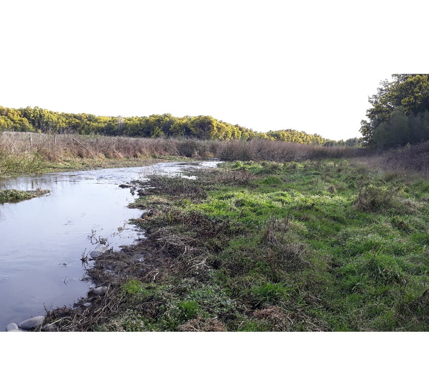 Parcelas en Venta Bío-Bío Los Ángeles - Fotos de ARRIENDO PARCELA 9 HÁS CON CASA Y BODEGA EN LOS ANGELES