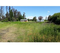 ARRIENDO PARCELA 9 HÁS CON CASA Y BODEGA EN LOS ANGELES