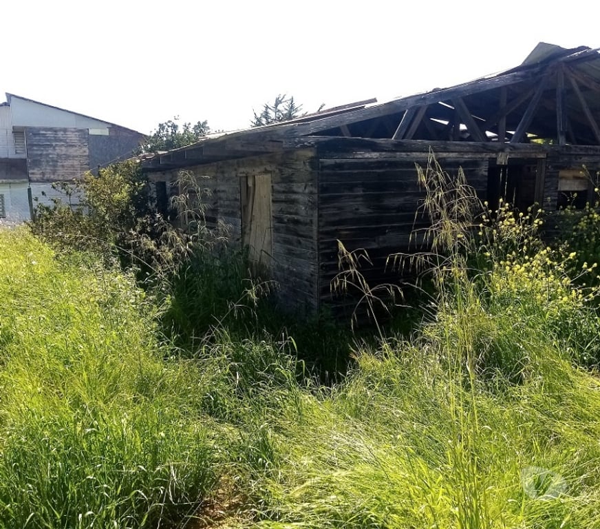 Parcelas en Venta Petorca La Ligua - Fotos de Vendo sitio en Playa La Ballena