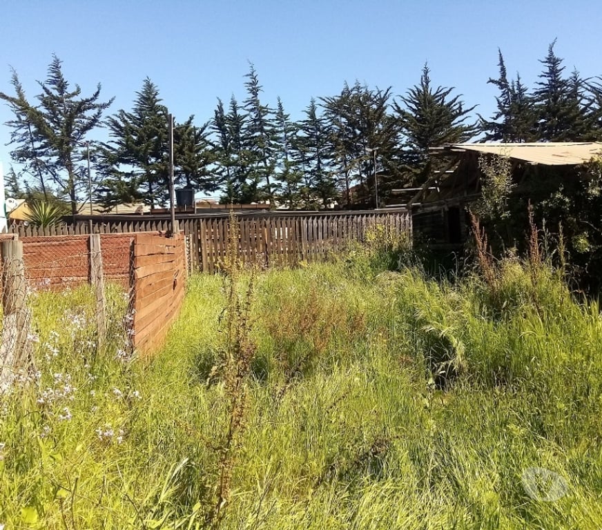 Parcelas en Venta Petorca La Ligua - Fotos de Vendo sitio en Playa La Ballena