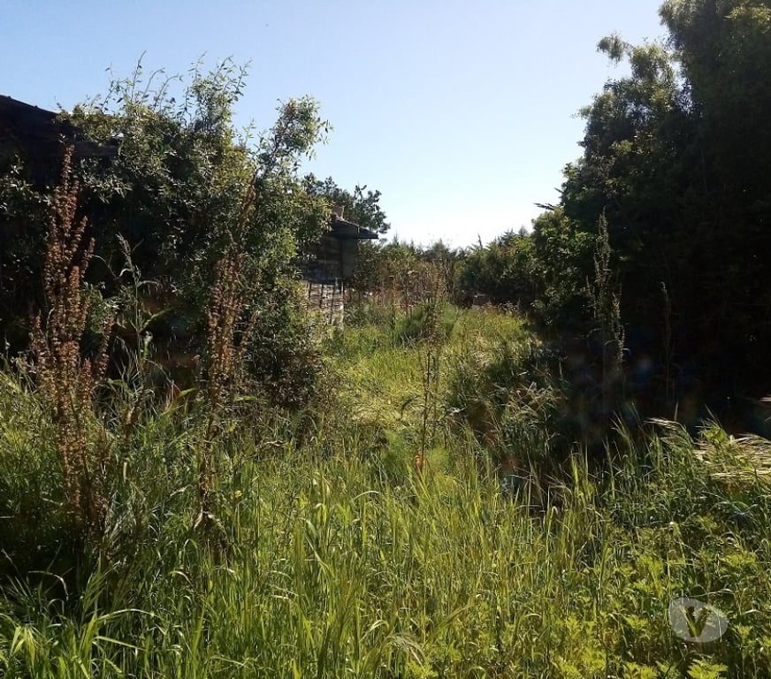 Parcelas en Venta Petorca La Ligua - Fotos de Vendo sitio en Playa La Ballena