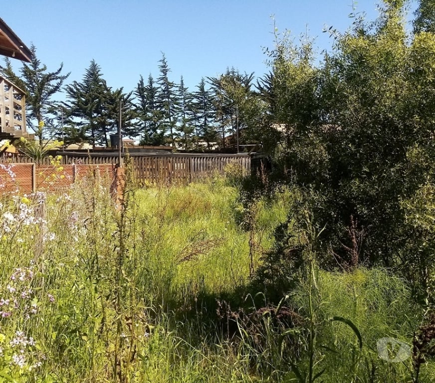Parcelas en Venta Petorca La Ligua - Fotos de Vendo sitio en Playa La Ballena