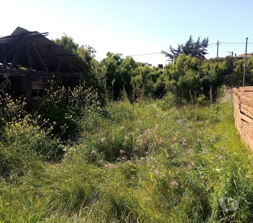 Parcelas en Venta Petorca La Ligua - Fotos de Vendo sitio en Playa La Ballena