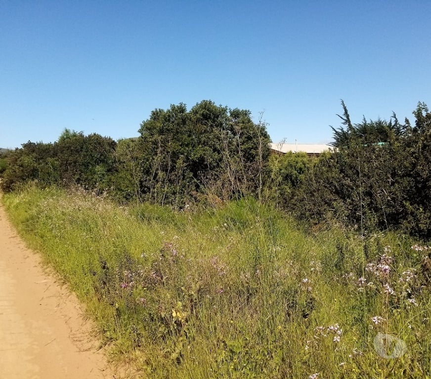 Parcelas en Venta Petorca La Ligua - Fotos de Vendo sitio en Playa La Ballena