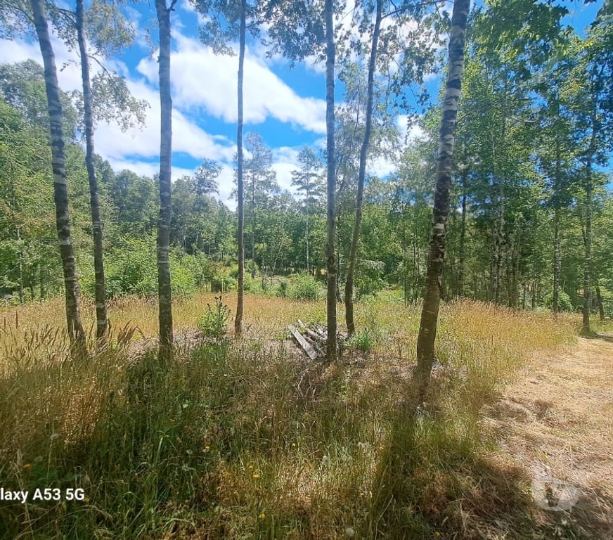 Parcelas en Venta Osorno San Juan de la Costa - Fotos de Vendo Una Hectárea de Terreno