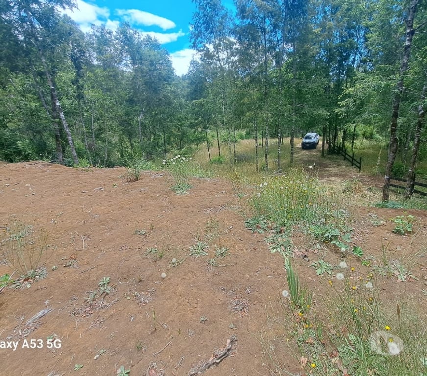 Parcelas en Venta Osorno San Juan de la Costa - Fotos de Vendo Una Hectárea de Terreno