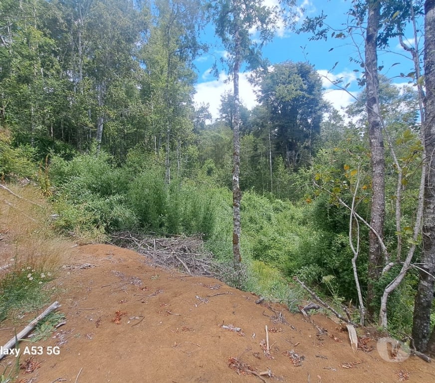 Parcelas en Venta Osorno San Juan de la Costa - Fotos de Vendo Una Hectárea de Terreno