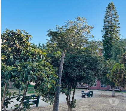 Inmobiliaria Quillota Quillota - Fotos de Quillota vendo depto 3D 1B 55 Millones