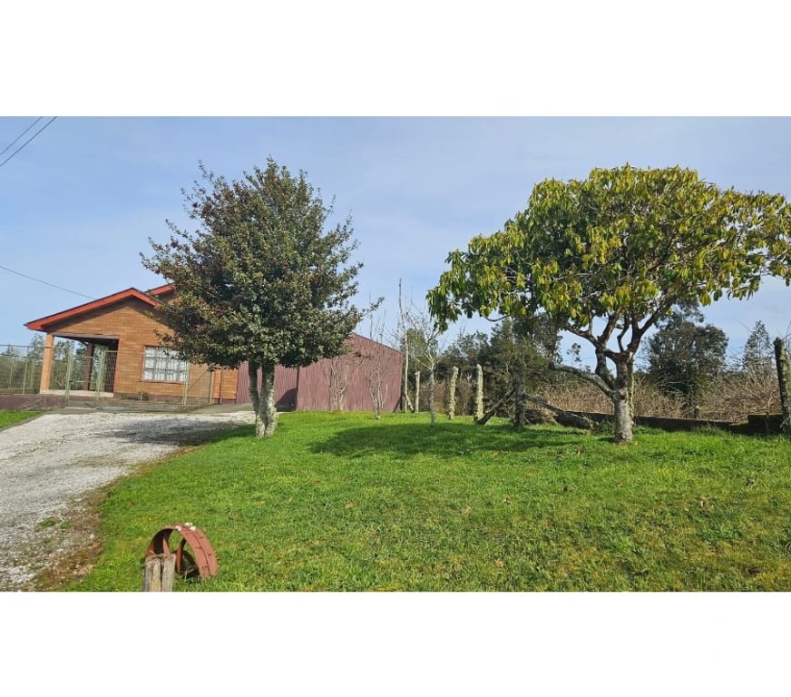 Venta de Haciendas Chiloé Ancud - Fotos de Vende 100hás ganadero semiplano, 65% limpio casa, galpón.