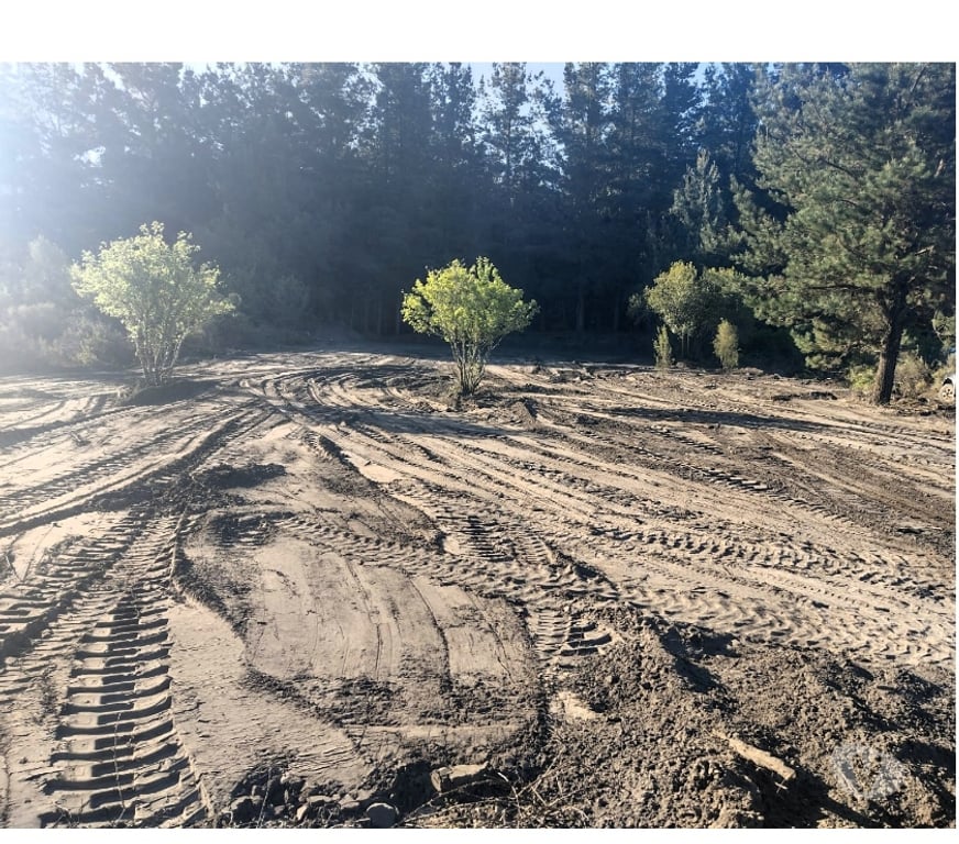 Bienes Raices Concepción Hualqui - Fotos de SITIO EN UNIHUE, HUALQUI, HACIENDA PAIHUANO II, 2.500 MTS2.
