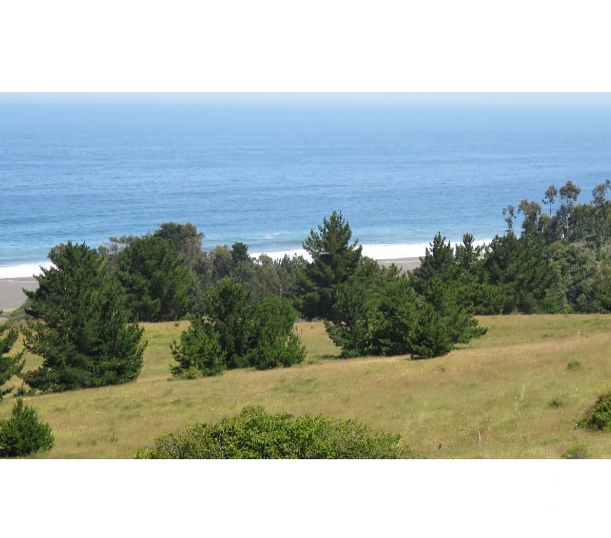 Parcelas en Venta Ñuble Cobquecura - Fotos de Praderas de Colmuyao