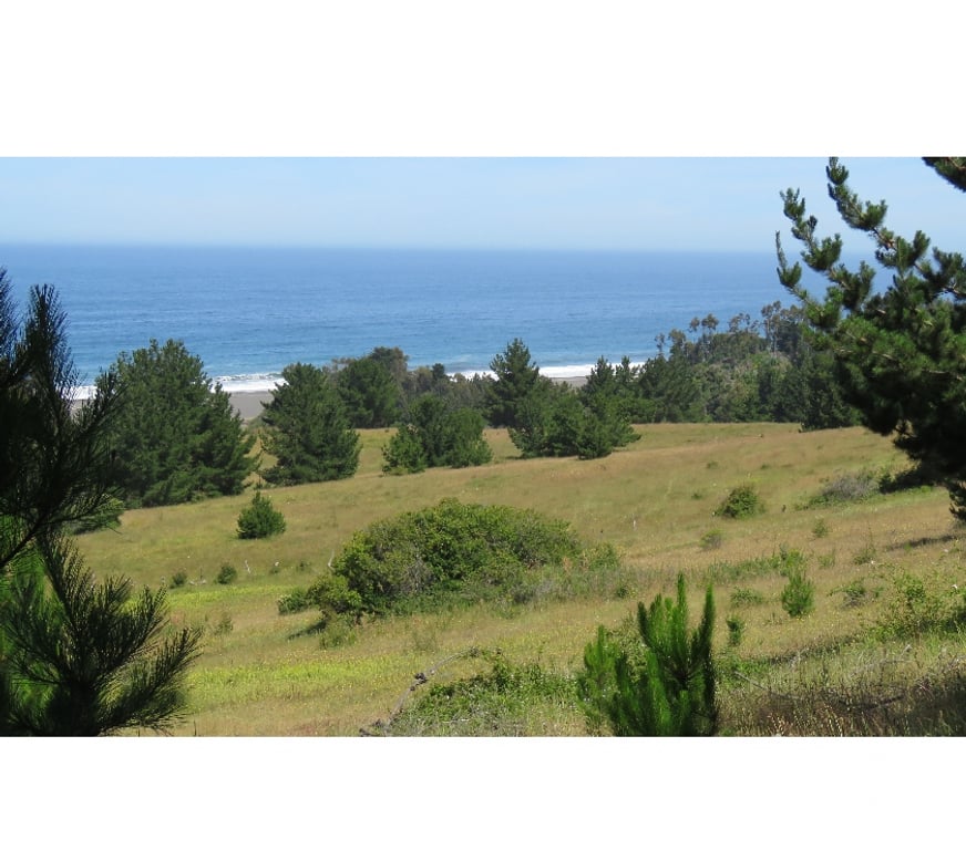 Parcelas en Venta Ñuble Cobquecura - Fotos de Praderas de Colmuyao