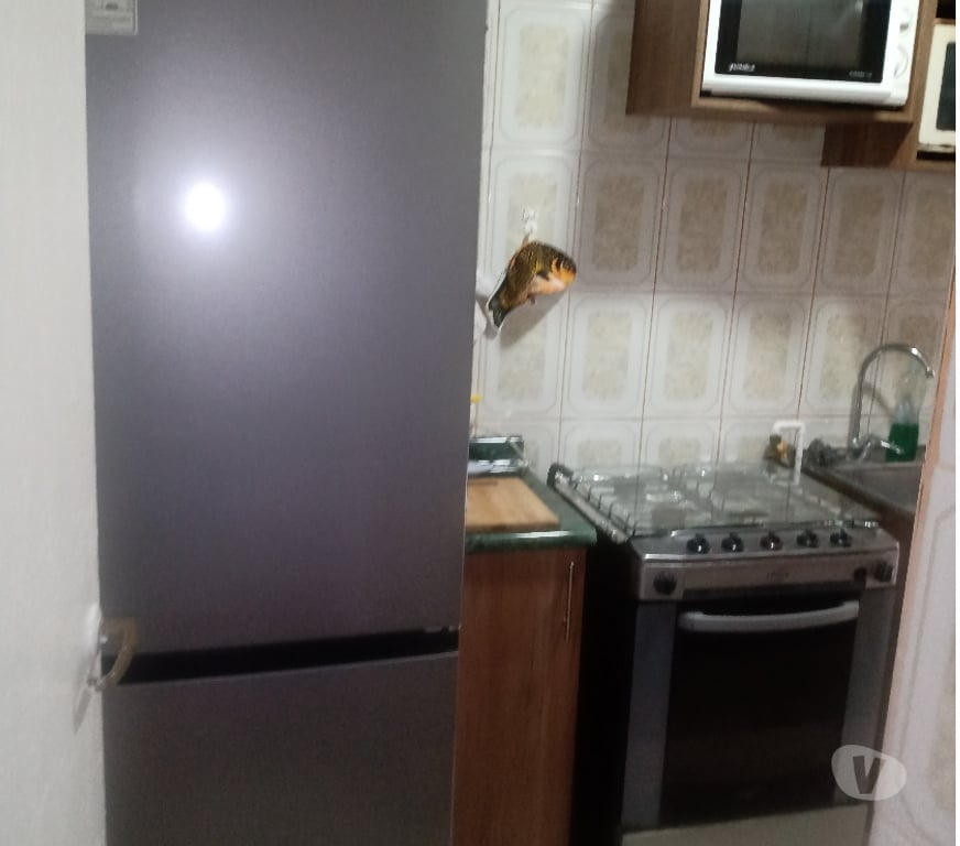 Arriendos Vacaciones Valparaíso Viña del Mar - Fotos de Arriendo Depto. Turistas pleno Centro Viña del Mar