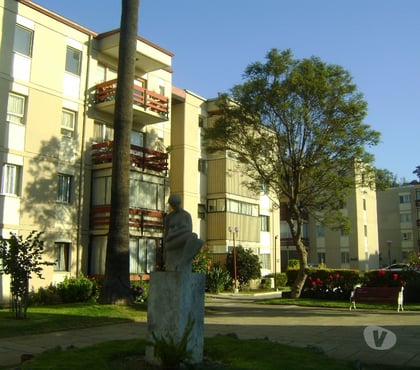 Arriendos de Temporada Viña del Mar Valparaíso - Fotos de Arriendo Depto. Turistas pleno Centro Viña del Mar