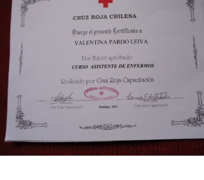 Cuidado Abuelos - Enfermos Viña del Mar Valparaíso - Fotos de Se ofrece cuidadora de enfermos Cruz Roja