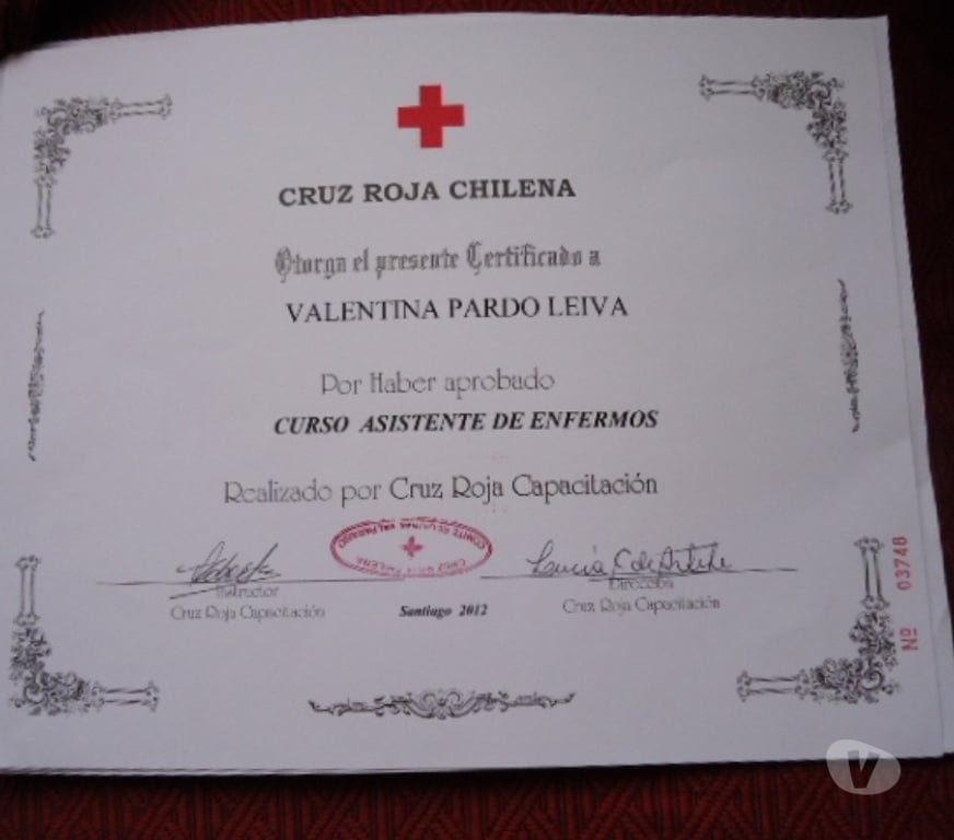 Cuidado Abuelos - Enfermos Valparaíso Viña del Mar - Fotos de Se ofrece Asistente de enfermos Cruz Roja