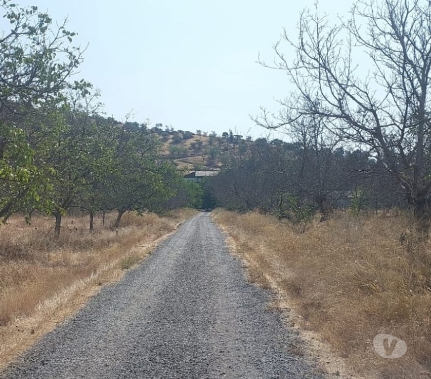 Parcelas en Venta Maipo San Bernardo - Fotos de Terreno agrícola plano con 3 tipos de uso, San Bernardo