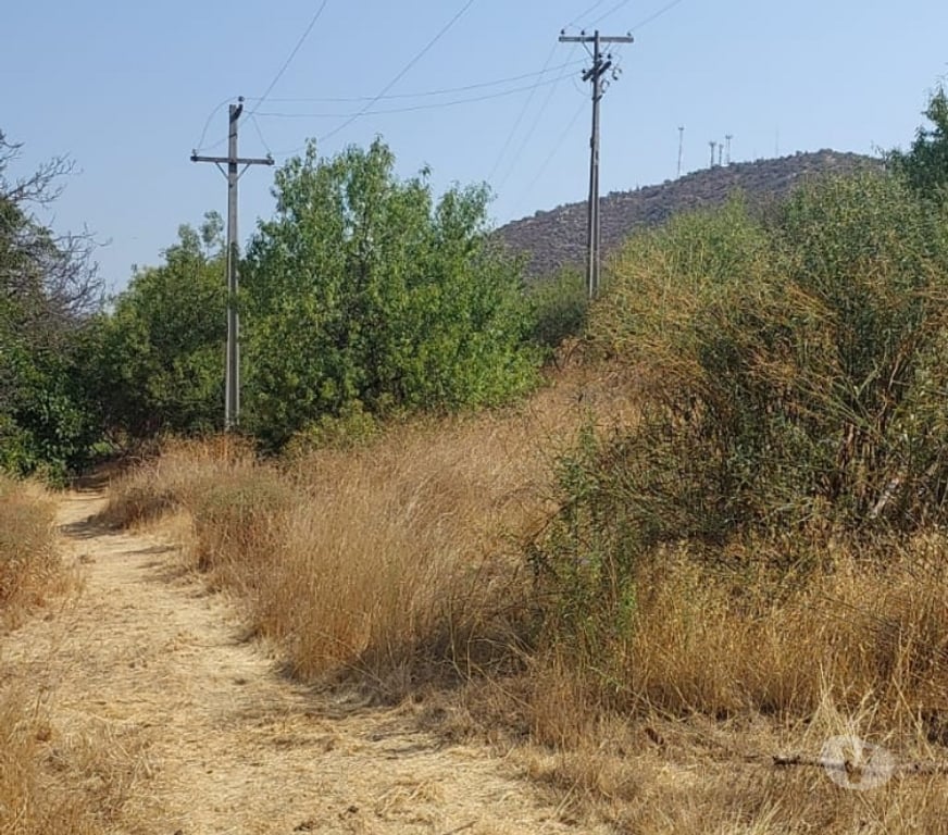 Parcelas en Venta Maipo San Bernardo - Fotos de Terreno agrícola plano con 3 tipos de uso, San Bernardo