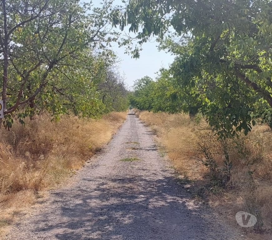 Parcelas en Venta Maipo San Bernardo - Fotos de Terreno agrícola plano con 3 tipos de uso, San Bernardo