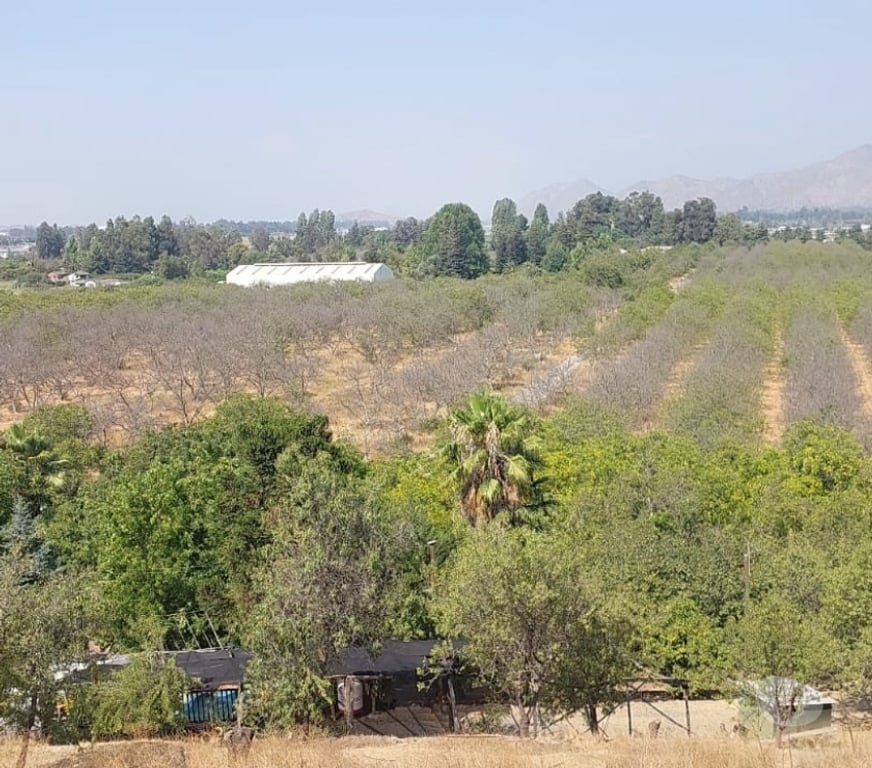 Parcelas en Venta Maipo San Bernardo - Fotos de Terreno agrícola plano con 3 tipos de uso, San Bernardo