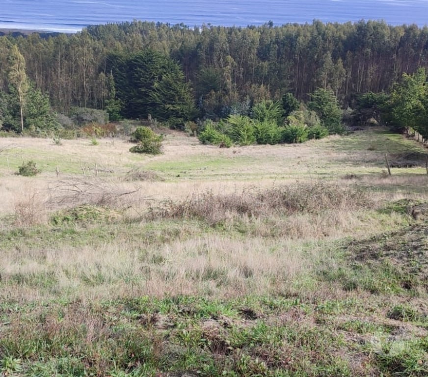Parcelas en Venta Ñuble Cobquecura - Fotos de COBQUECURA -EL TOTORAL : SE VENDE TERRENO FRENTE AL MAR
