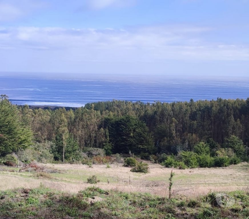 Parcelas en Venta Ñuble Cobquecura - Fotos de COBQUECURA -EL TOTORAL : SE VENDE TERRENO FRENTE AL MAR