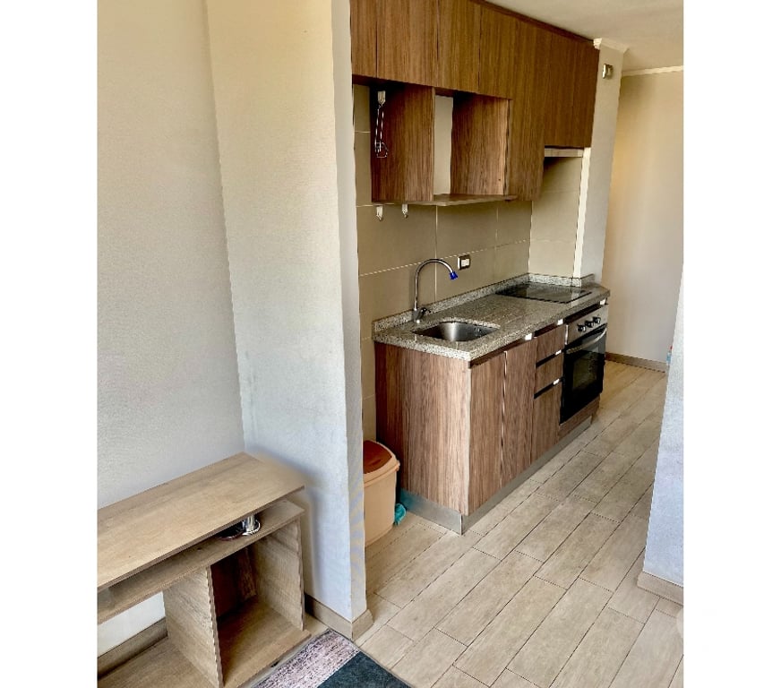 Arriendos Santiago Santiago - Fotos de Arriendo Departamento Seminuevo de 1 Ambiente 1 Persona