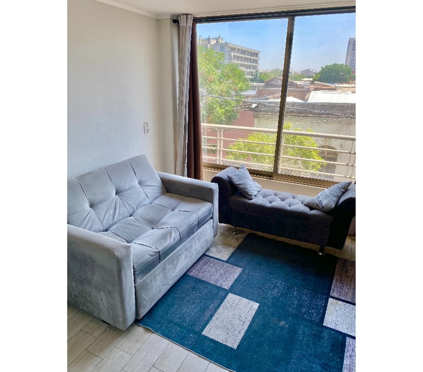 Arriendos Santiago Santiago - Fotos de Arriendo Departamento Seminuevo de 1 Ambiente 1 Persona