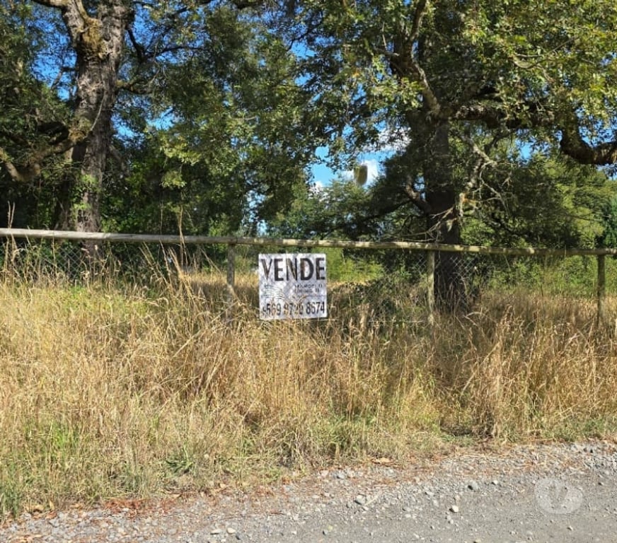 Parcelas en Venta Osorno Osorno - Fotos de Vendo Parcela Sector Las Quemas