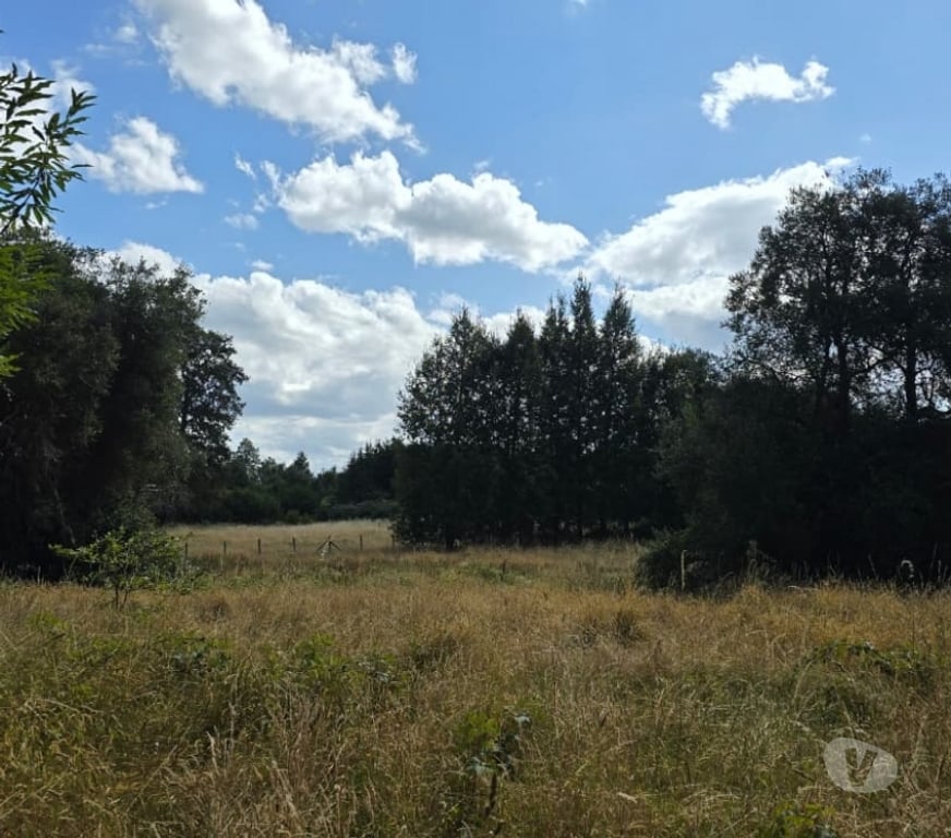 Parcelas en Venta Osorno Osorno - Fotos de Vendo Parcela Sector Las Quemas