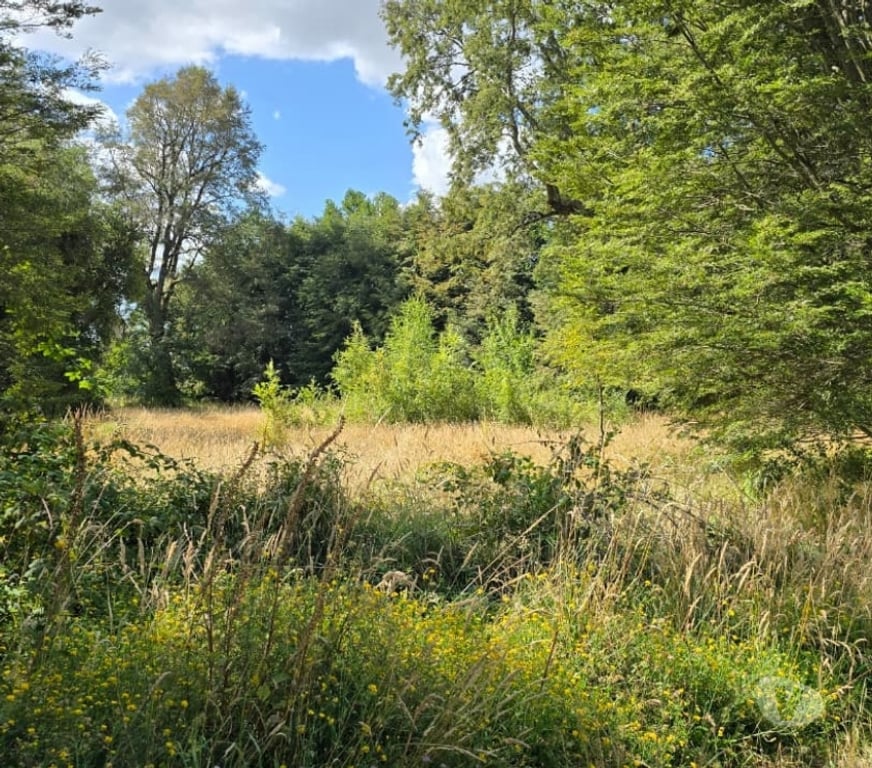 Parcelas en Venta Osorno Osorno - Fotos de Vendo Parcela Sector Las Quemas