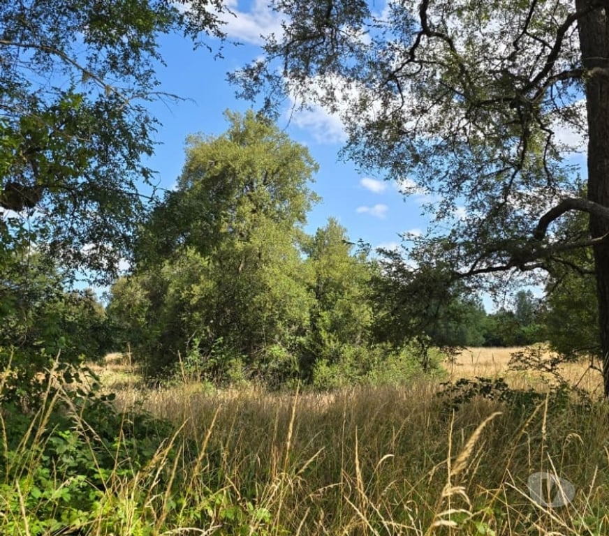 Parcelas en Venta Osorno Osorno - Fotos de Vendo Parcela Sector Las Quemas