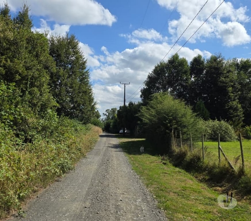 Parcelas en Venta Osorno Osorno - Fotos de Vendo Parcela Sector Las Quemas