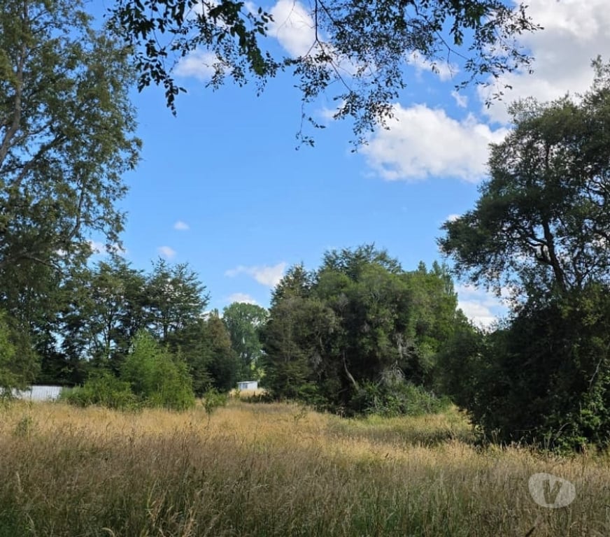 Parcelas en Venta Osorno Osorno - Fotos de Vendo Parcela Sector Las Quemas