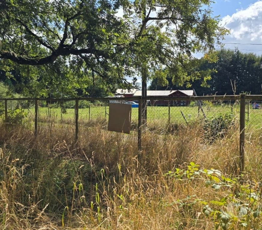 Parcelas en Venta Osorno Osorno - Fotos de Vendo Parcela Sector Las Quemas