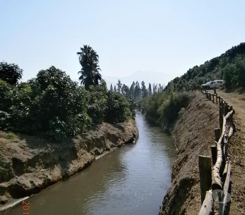 Venta de Haciendas San Felipe de Aconcagua Panquehue - Fotos de Excelente Fundo con Paltos,Naranjos y Casa Patronal-Aconcagu